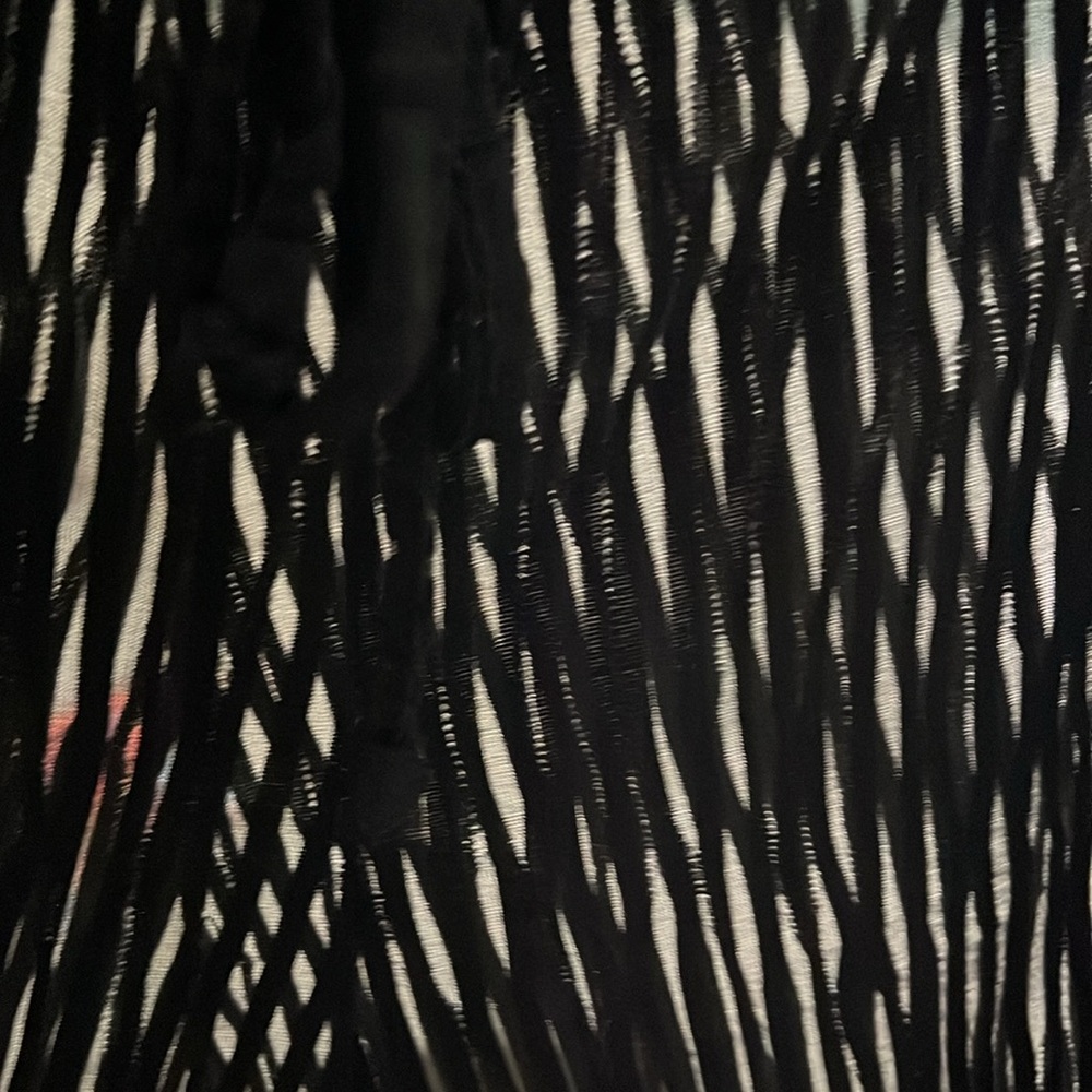 NWOT. Jordan Taylor Semi Sheer Pants